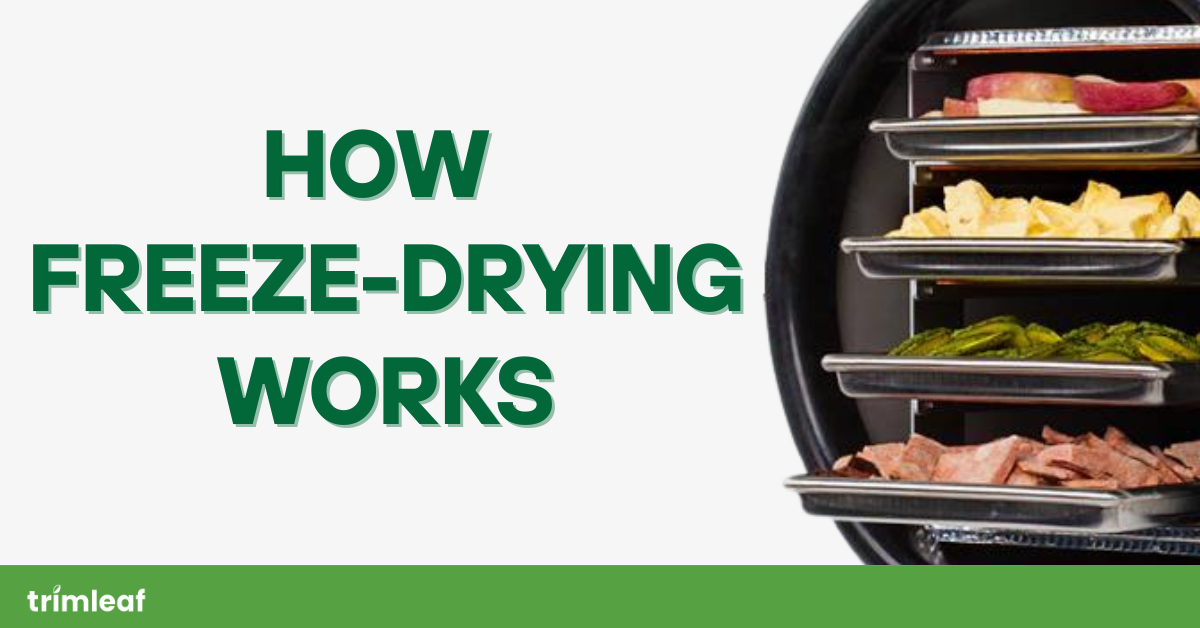 How Freeze-Drying Works