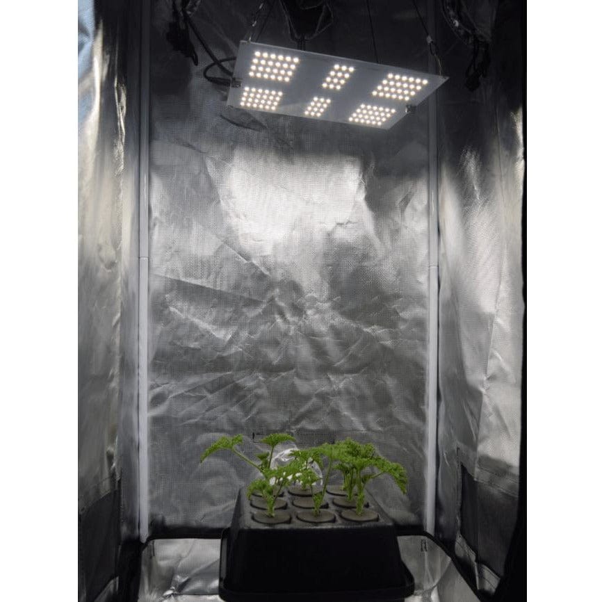 Horticulture Lighting Group HLG 65 V2 Veg LED Grow Light Set Up