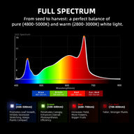 Spider Farmer Spider Farmer G5000 Cost-Effective Full Spectrum LED Grow Light - Spectrum