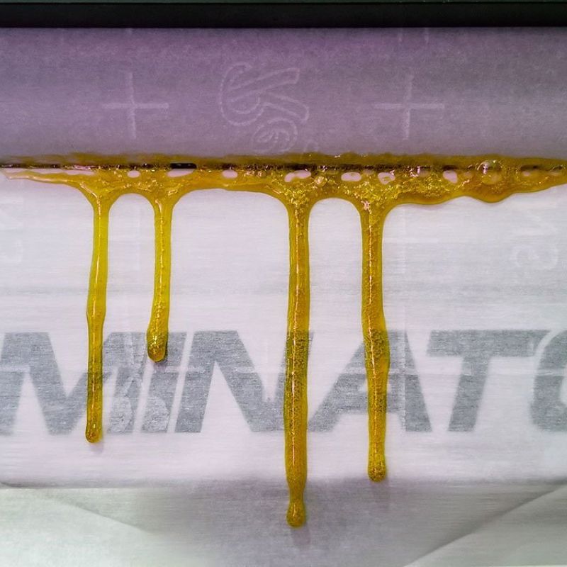 Triminator Rosin Press Yields