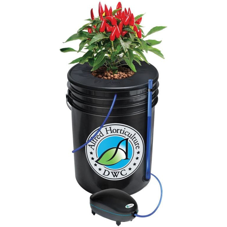 Alfred Horticulture Alfred DWC 1-Plant System